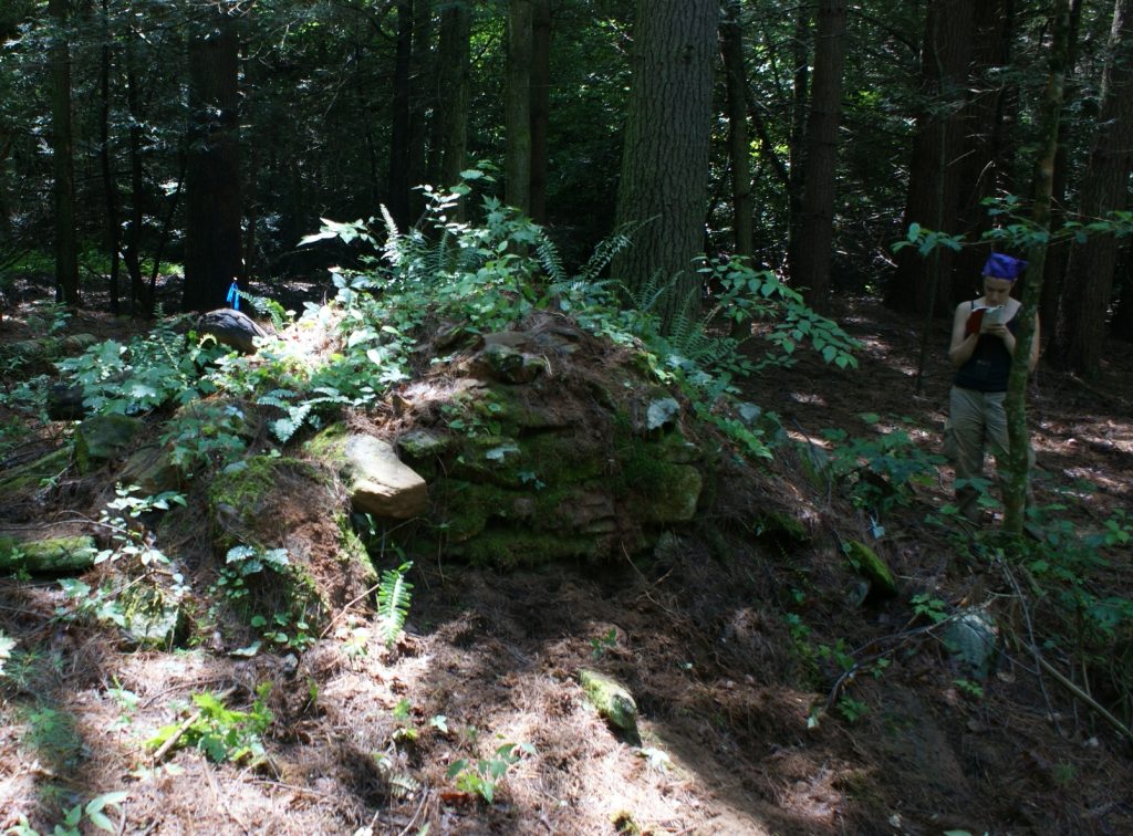 Color photo of me standing next to a large pile of rock in the woods. It has a lot of weeds and things growing on it. I'm taking notes.