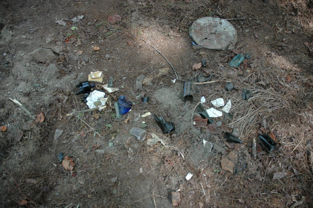 Some kitchen trash including broken bottles and plates, on the surface of a forest floor.