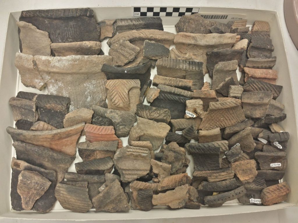 A large flat cardboard box filled with rim sherds.