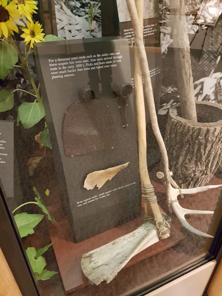 A scapula hoe and a wooden-handled rake, made from antlers. The display case also includes metal objects for comparison. Text reads, "For a thousand years tools such as the antler rake and bison scapula hoe were used. Iron tools arrived through trade in the early 1800s. Picks and hoes made of iron were much harder than bone and lasted over many planting seasons."