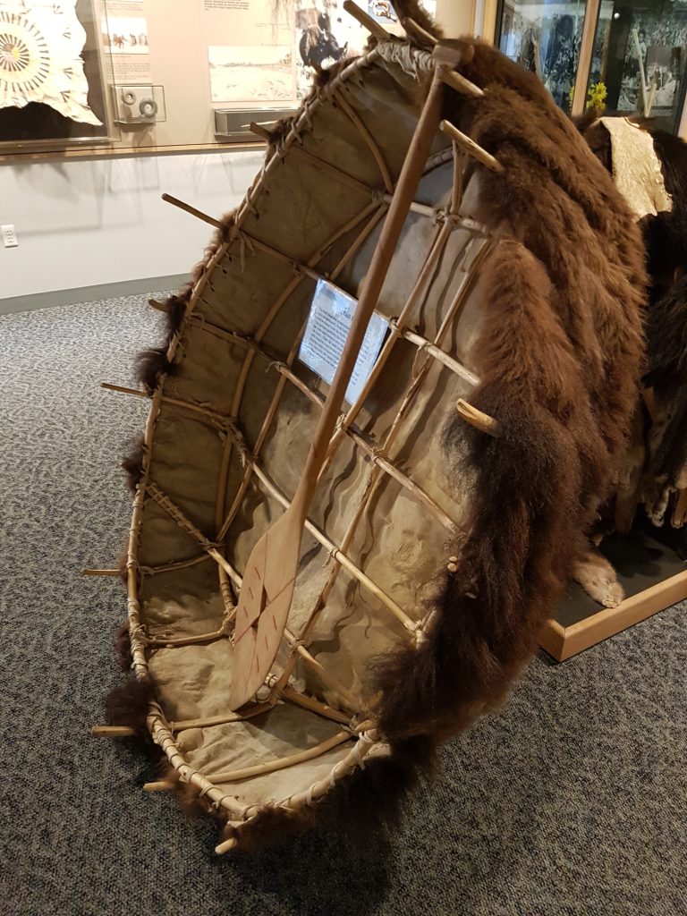 The bull boat is sitting on the carpeted floor of the museum, on its side, showing the willow frame on the inside. A wooden paddle is inside.