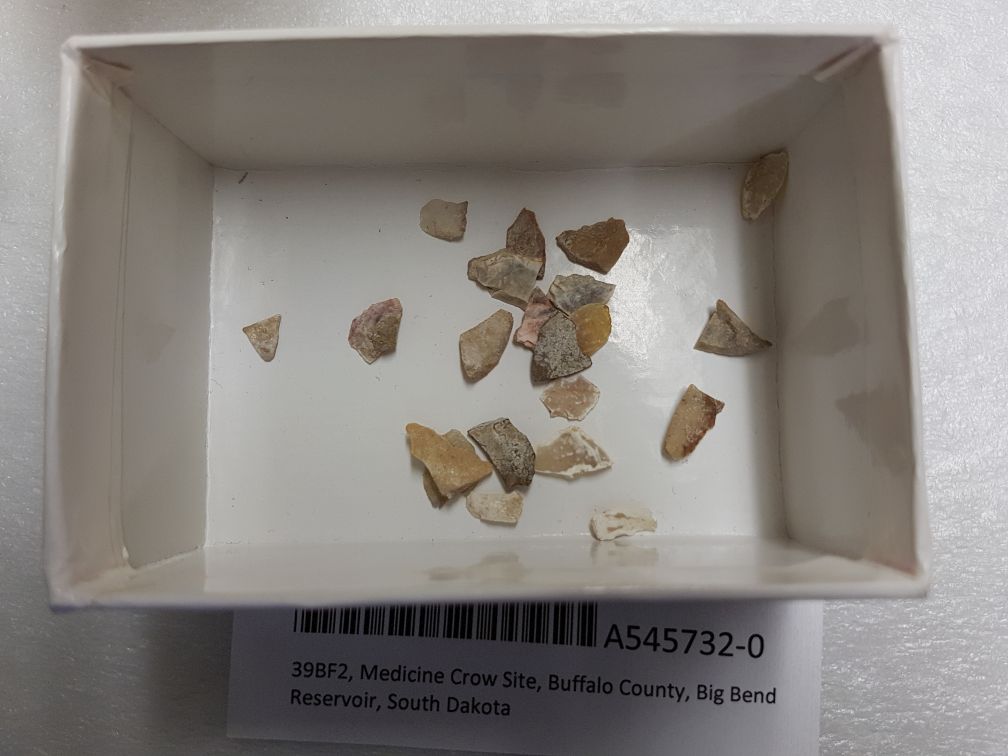 A small rectangular storage box, its long end barely longer than the catalog label (maybe 5 cm), with some very small flakes in it.