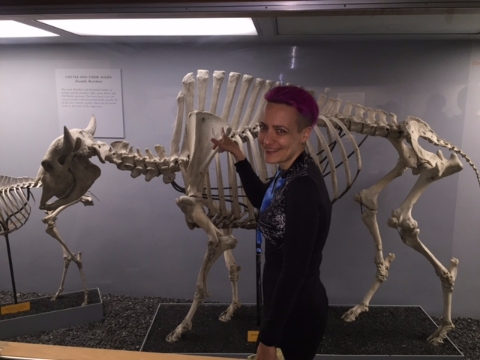 Color photo of one of the authors, smiling by a bison skeleton on display and pointing at the left scapula.