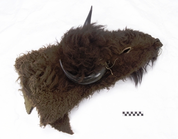 Color photo of a buffalo headdress laid out on a flat surface. It is made from the head of a bison with the horns still attached.