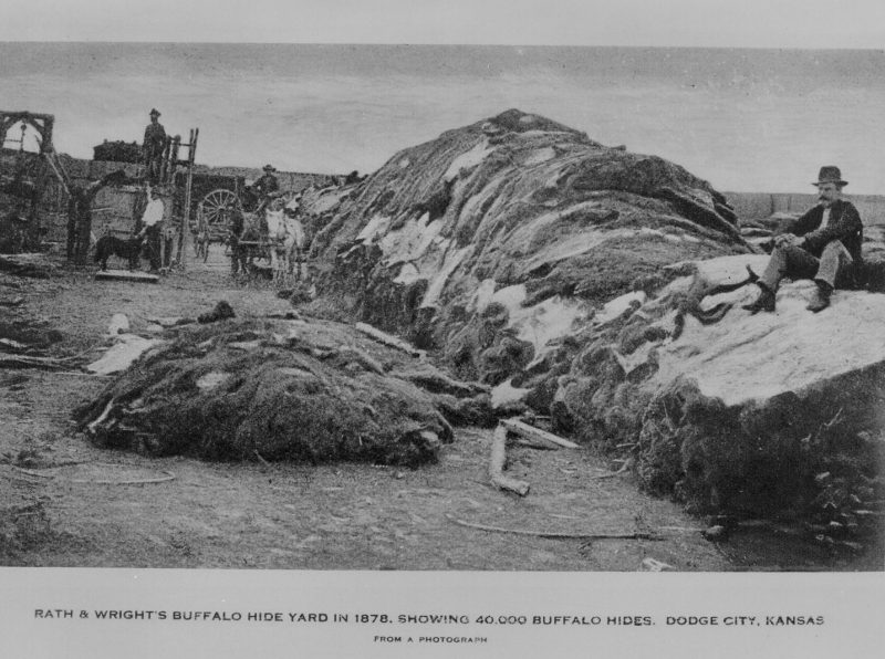 Old (1878) black-and-white photo of a large pile of bison hides with a man sitting on it in the foreground. Other people and horse cars are visible in the background. All are dwarfed by the massive pile of hides.