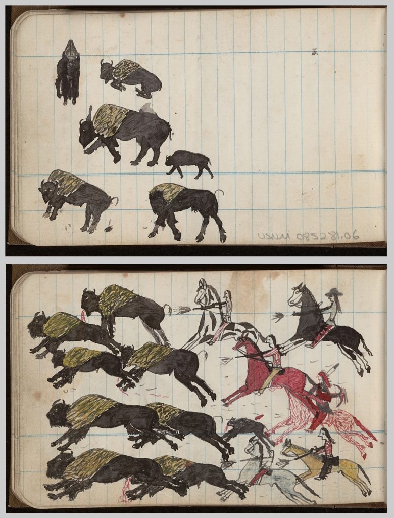 Two ledger art pages. One is of a handful of bison, including a baby. The other is of a group of bison being hunted by people on horseback.
