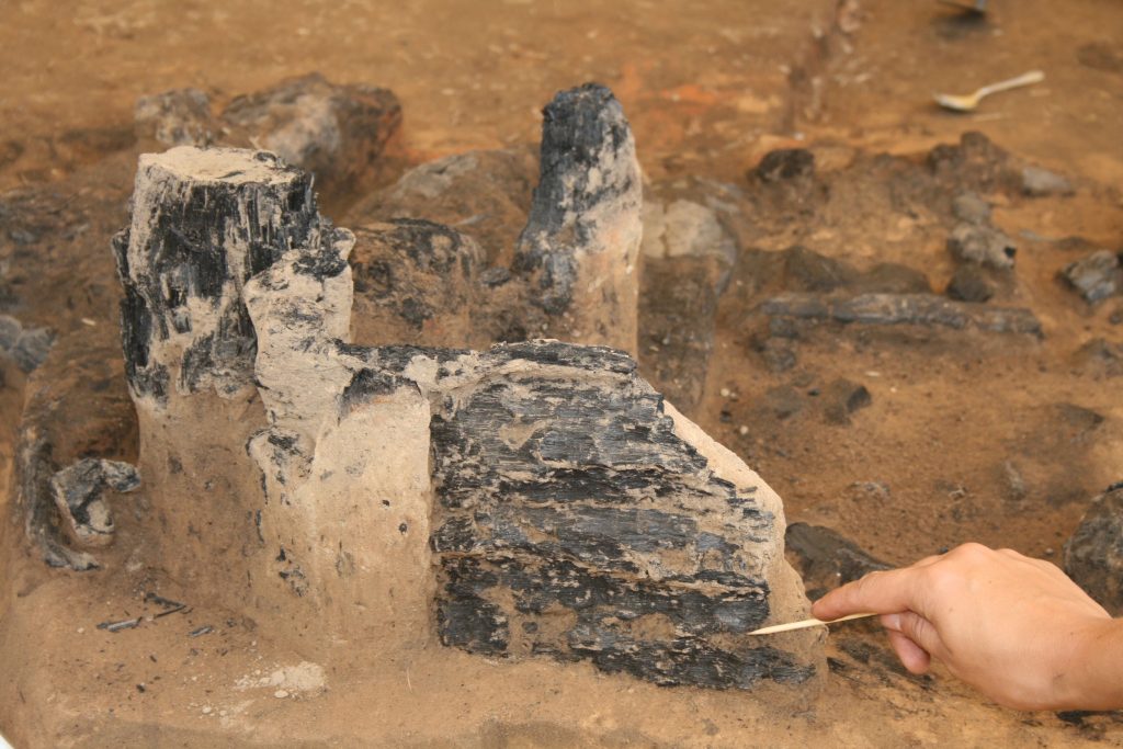 Several pieces of burned wood pedestaled in an excavation area. In the foreground, a person's hand holding a small wooden skewer to remove soil from a piece of burned wood.