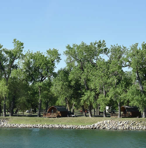 Color photo of camp buildings surrounded by large trees under a blue sky in summer.