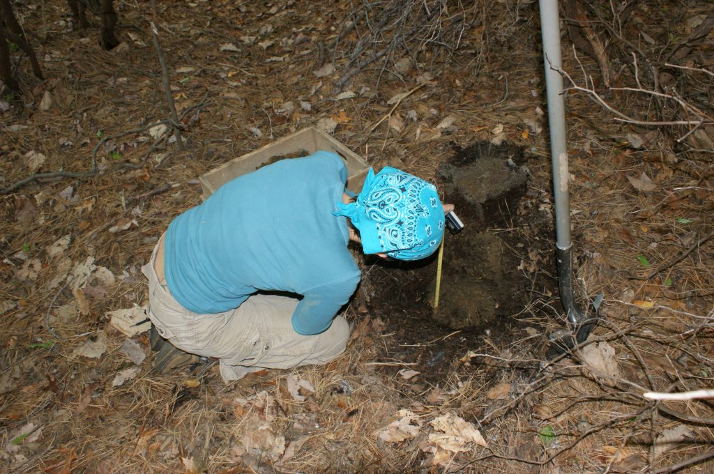 op down view of the author leaning over a fairly shallow, 30cm diameter test pit, holding a tape measure into the pit. A box screen with soil in it sits next to the author. A shovel stands up, stuck in the soil next to the test pit. The background is leaf- and needle-covered forest floor.